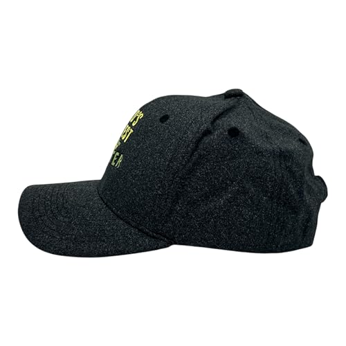 Cool Dad Hats with Funny Sayings Graphic Caps for Dads and Father's Day - color: Black - Greatest Farter