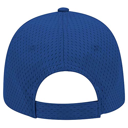 Ashen Fane 6 Panel Polyester Pro Mesh Low Profile Baseball Cap - color: Royal