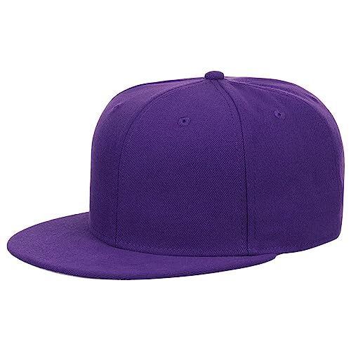 Lids Blank Dime Adjustable Snapback Hat - color: Purple