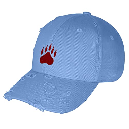 JPAK Bears Vintage Dad Hat Embroidered Cap NASDAQ Symbol Stocks - color: Light Blue