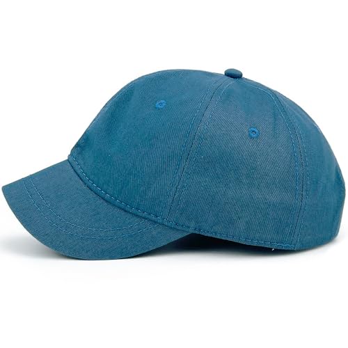 Loneshark Short Brim Baseball Cap for Running Small Bill Umpire Hat - color: Lakeblue