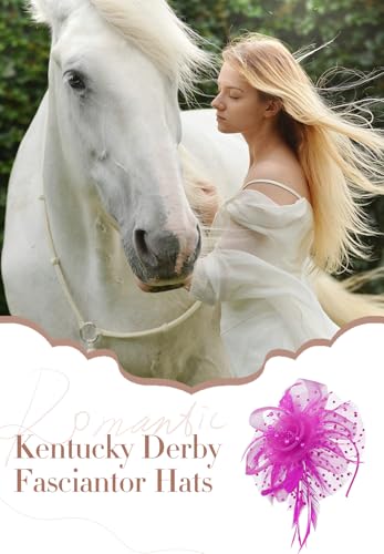 Zando Kentucky Fascinators Hats for Women Derby Tea Party Hat Flower Mesh Feathers Headband Headwear Hair Clip Girls - color: Lotus Pink