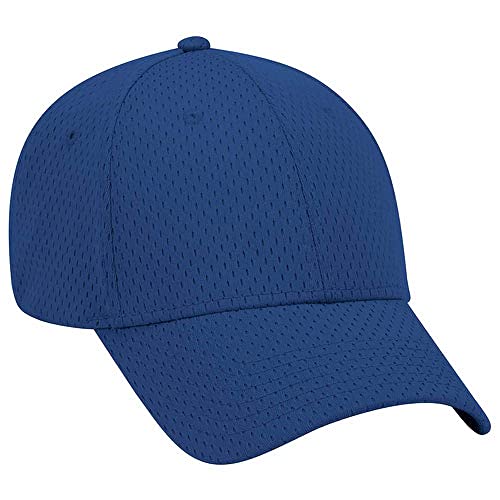 Ashen Fane 6 Panel Polyester Pro Mesh Low Profile Baseball Cap - color: Royal