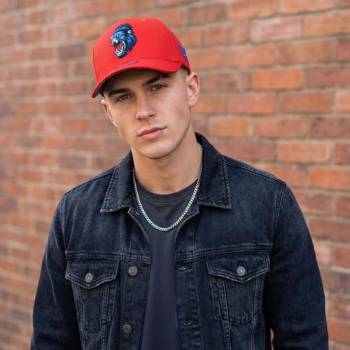 Capiche [99+ Variations] Special Series Snapback Cap - One Size Unisex Men - color: Gorilla Curved
