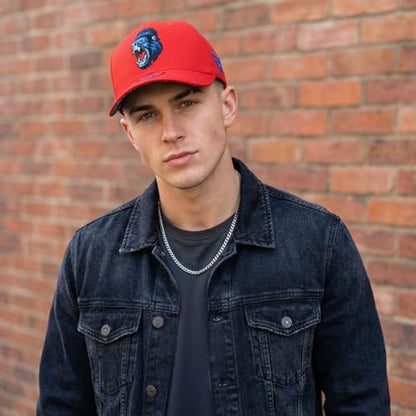 Capiche [99+ Variations] Special Series Snapback Cap - One Size Unisex Men - color: Gorilla Curved