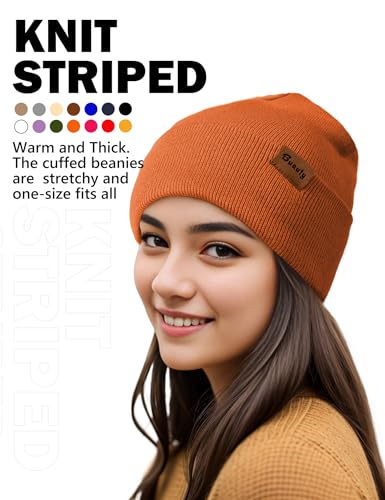 Beanie Hats for Men Women Knit Winter Hat, Warm Skull Stocking Cap, Striped Snow Hat Heated Cuffed Beanie - color: 2p-black+brown