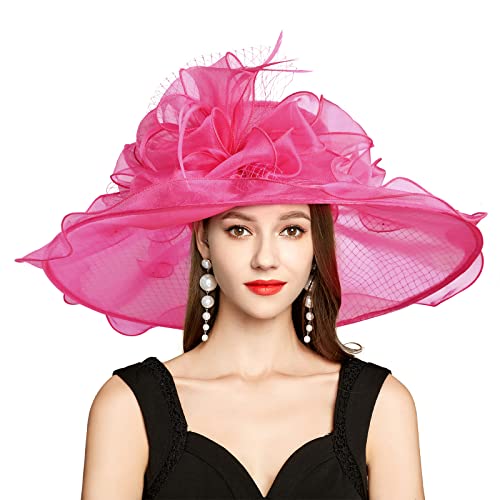 2026 Kentucky Derby Hat for Women Ladies, Organza Veil Feather Fascinator for Tea Party Church UV Protection Sun Hat - color: F4452-rose Red