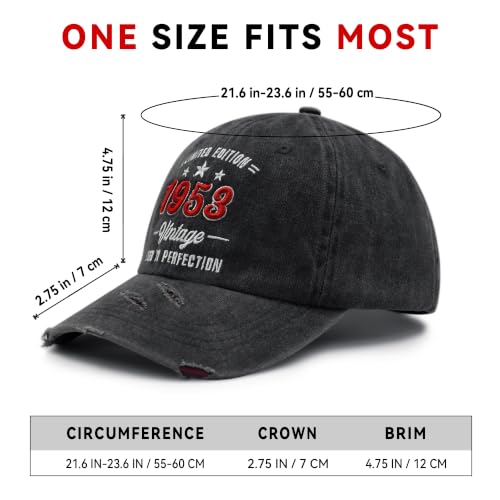 3D Embroidered Birthday Vintage Baseball Cap for Men Women, Washed Distressed Classic Cotton Adjustable Ideal Hat - color: 1953 Year
