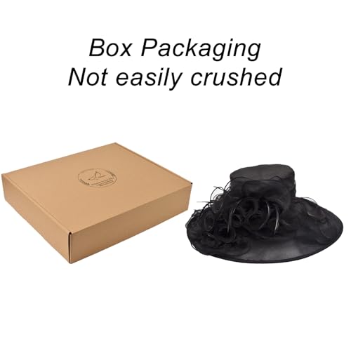 2026 Kentucky Derby Hat for Women Ladies, Organza Veil Feather Fascinator for Tea Party Church UV Protection Sun Hat - color: Classic Black