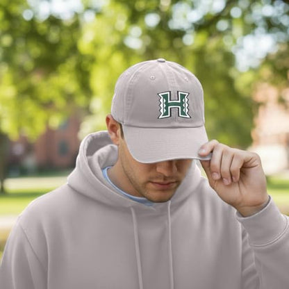 Desert Cactus University of Hawaii Embroidered Baseball Hat Cap - color: Grey