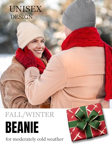Fleece Lined Wool Beanie Hat Men Women, Warm Cuffed Winter Cap - color: Light Gray