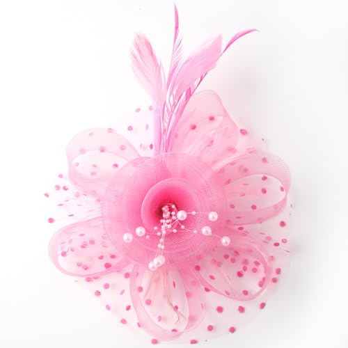 WLBON Fascinators Hat 20s 50s Headband Hair Clips Flower Mesh Veil Feather Headpiece Headwear Women Halloween Carnival Cocktail Wedding Church Cosplay Dress Up Birthday Tea Party Accessories Pink - color: Pink Tone
