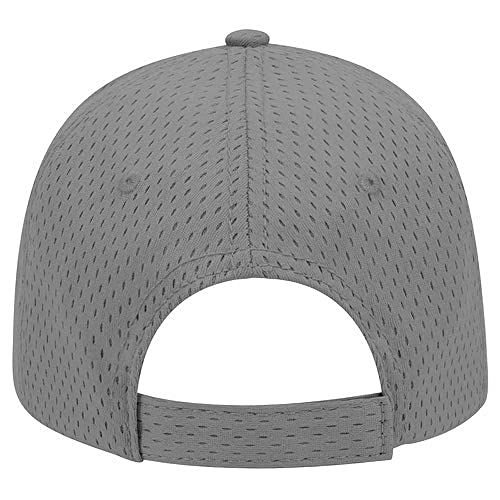 Ashen Fane 6 Panel Polyester Pro Mesh Low Profile Baseball Cap - color: Gray