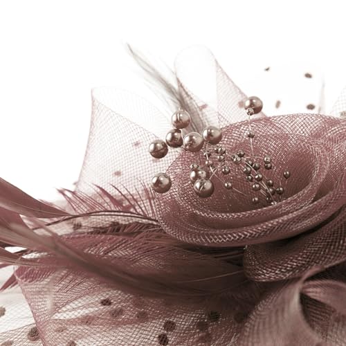 WLBON Fascinators Hat 20s 50s Headband Hair Clips Flower Mesh Veil Feather Headpiece Headwear Women Halloween Carnival Cocktail Wedding Church Cosplay Dress Up Birthday Tea Party Accessories Coffee - color: Coffee