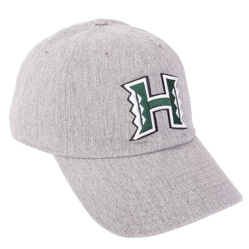 Desert Cactus University of Hawaii Embroidered Baseball Hat Cap - color: Grey