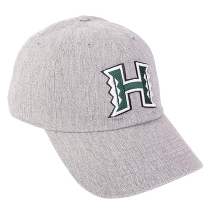 Desert Cactus University of Hawaii Embroidered Baseball Hat Cap - color: Grey