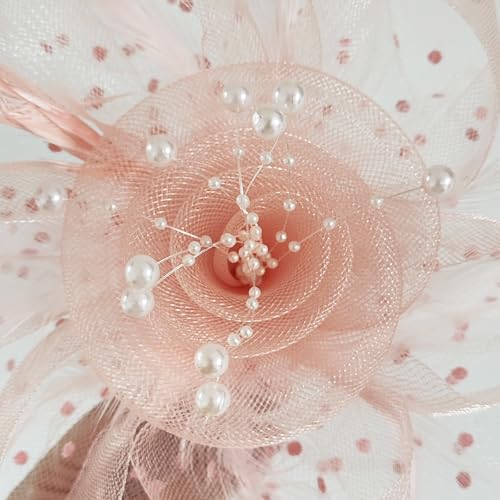 WLBON Fascinators Hat 20s 50s Headband Hair Clips Flower Mesh Veil Feather Headpiece Headwear Women Halloween Carnival Cocktail Wedding Church Cosplay Dress Up Birthday Tea Party Accessories Champagne - color: Champagne Tone