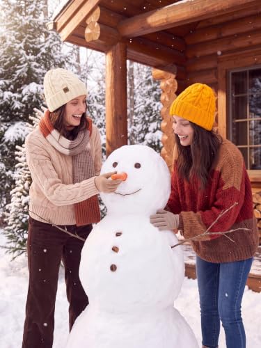 Winter Hats for Women Cable Knit Chunky Skull Cap Fleece Lined Thick Fold Cuff Beanie hat - color: Oatmeal, style: Wheat Spike