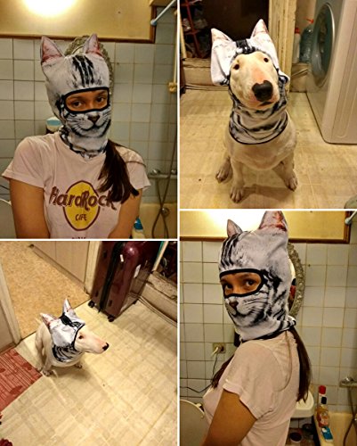 WTACTFUL 3D Animal Ears Balaclava, Breathable Face Mask for Halloween - color: American Shorthair Meb-05