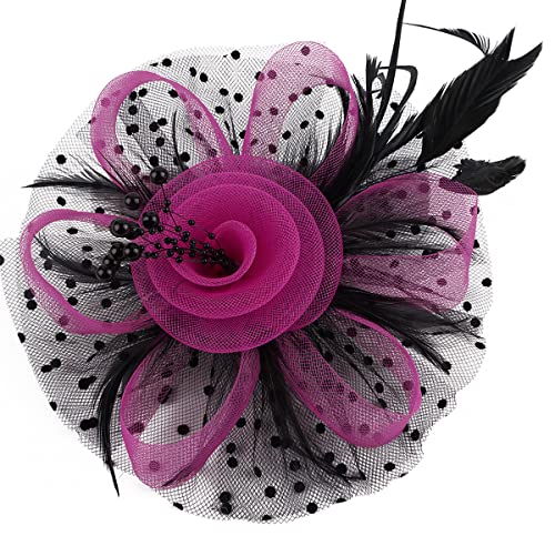 Kentucky Derby Fascinators for Women High Tea Party Hat Wedding Cocktail Flower Headware with Mesh and Feathers - color: Rose&black