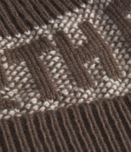 The North Face Unisex Adult Retro Cabin Beanie - color: Smokey Brown/White Dune