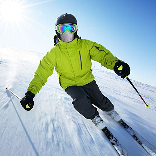 Ski Mask,Balaclava Mask,Wind Water Resistant for Cold Weather - color: Gray