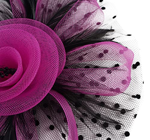 Kentucky Derby Fascinators for Women High Tea Party Hat Wedding Cocktail Flower Headware with Mesh and Feathers - color: Rose&black