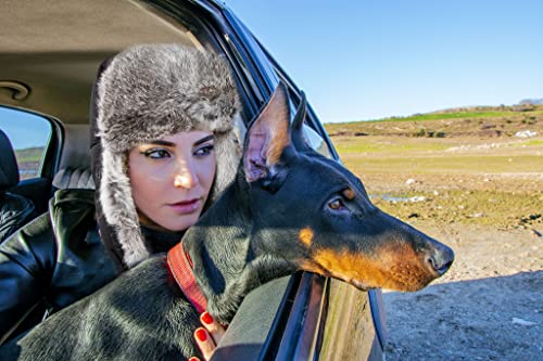 Jeff & Aimy Stylish Plaid Winter Wool Trapper Faux Fur Earflap Hunting Hat Ushanka Russian Cold Weather Thick Lined 55-61CM - color: 67217#black, size: Large