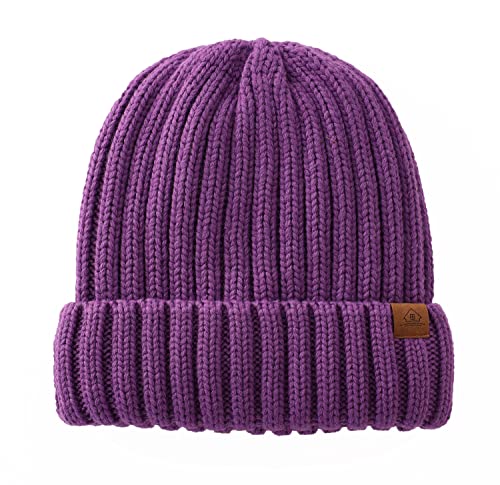 Home Prefer Mens Winter Hat Wool Fleece Lined Knit Beanie Hat Warm Stocking Caps - color: Purple