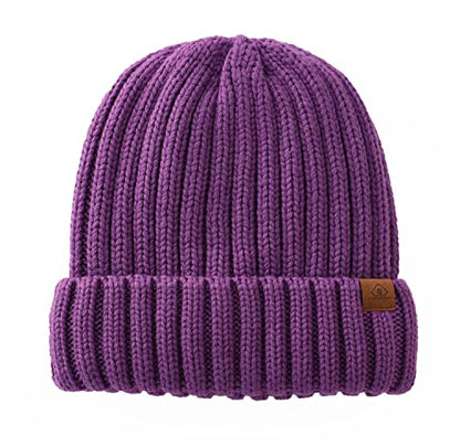 Home Prefer Mens Winter Hat Wool Fleece Lined Knit Beanie Hat Warm Stocking Caps - color: Purple