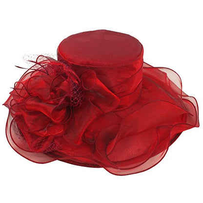 Janey&Rubbins Women's Feathers Floral Fascinating Wide Brim Lightweight Church Derby Hat - color: Burgundy