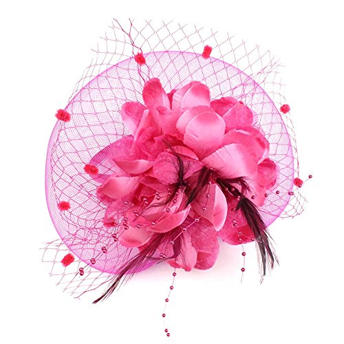 ACTLATI Fascinators Hat for Women Tea Party Headpiece Wedding Cocktail Flower Mesh Feathers Hair Clip 20s Flapper Fascinators - color: A10-rose Red