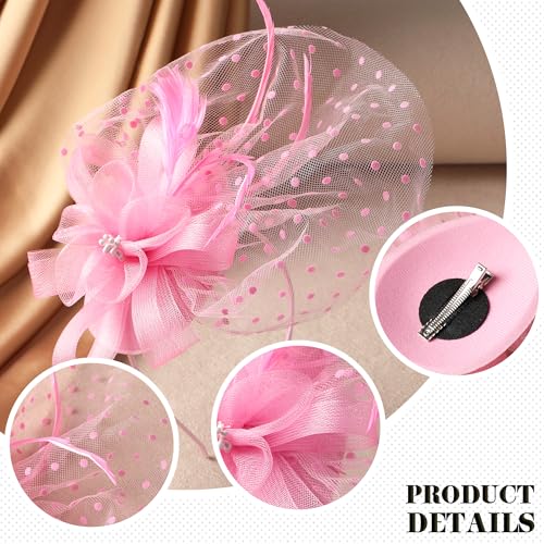 Zinniday Girls Tea Party Hat - Mini Pink Derby 2026 Feather Mesh Fascinators with Hair Clip, Kentucky 1920s 50s Victoria Headwear for Lady Women Girl Cocktail Costume Church Holiday Party Dress Up - color: Pink