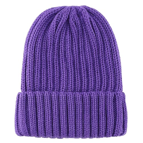 Connectyle Women's Rib Knit Cuffed Beanie Hat Stretch Acrylic Winter Hat Thick Warm Snow Ski Cap - color: Purple