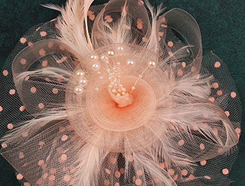 Fascinators Hat for Women Tea Party Headband Kentucky Derby Wedding Flower Cocktail Mesh Feathers Hair Clip - color: 1-champagne
