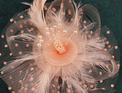 Fascinators Hat for Women Tea Party Headband Kentucky Derby Wedding Flower Cocktail Mesh Feathers Hair Clip - color: 1-champagne