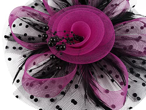Kentucky Derby Fascinators for Women High Tea Party Hat Wedding Cocktail Flower Headware with Mesh and Feathers - color: Rose&black