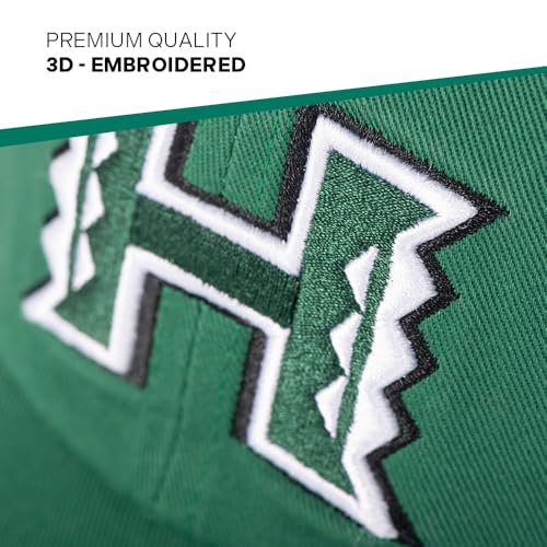 Desert Cactus University of Hawaii Embroidered Baseball Hat Cap - color: Green
