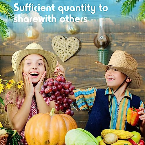 SATINIOR 12 Set Kids Cowboy Hats Bulk with Bandanas - color: Classic Colors