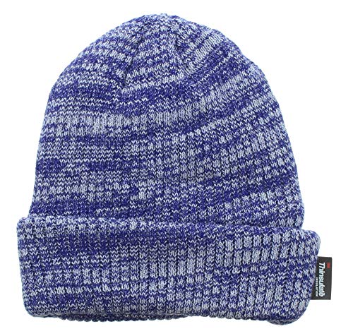 Milani Thinsulate 40 Gram Windchill Insulated Winter Cold Weather Beanie Skull Cap - color: Glacier Blue