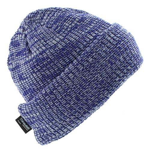Milani Thinsulate 40 Gram Windchill Insulated Winter Cold Weather Beanie Skull Cap - color: Glacier Blue